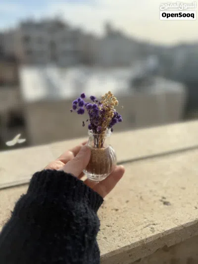 مزهرية حجم اكسترا ميني 3