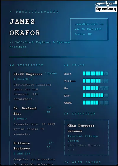 Professional Resume/CV maker 2