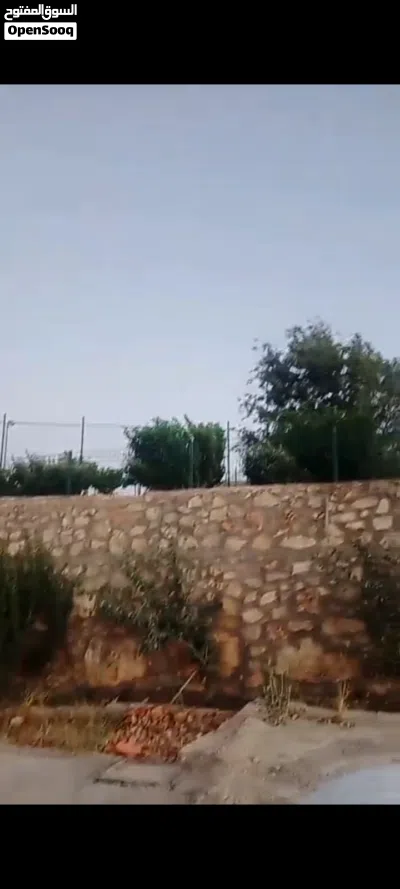 ارض زراعية سكنية 3