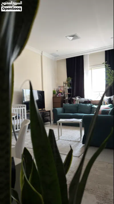 Flat Fro rent two months شقة جديدة ايجار شهرين الصيف 4