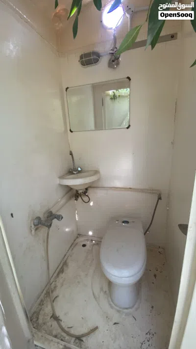 حمام امريكي 2