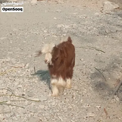 undefined 2