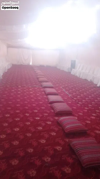 استئجار سجادة للحفلات 3