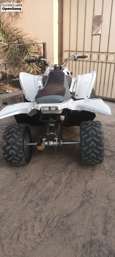 cobra 100cc Korean automatic gear 4