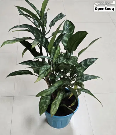 undefined 4