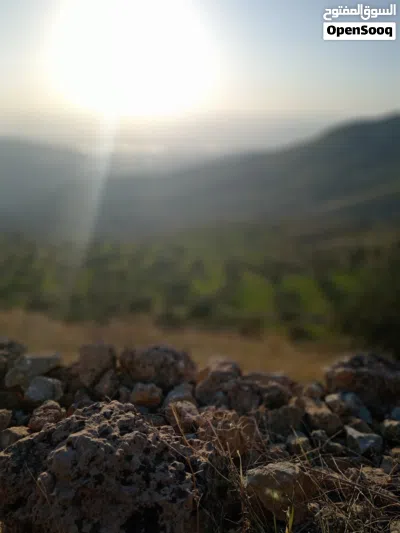 قطعة أرض مزرعه للبيع 4