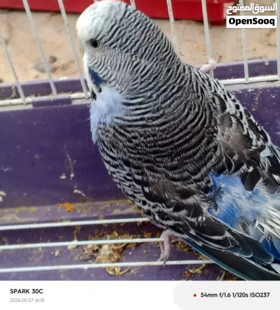 undefined 2