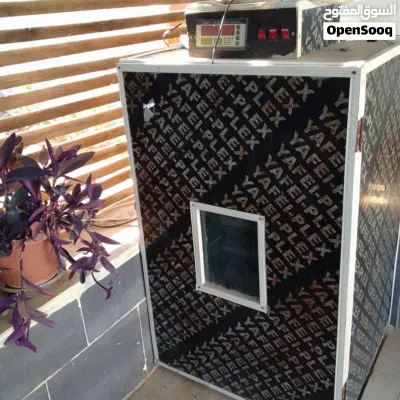 undefined 2