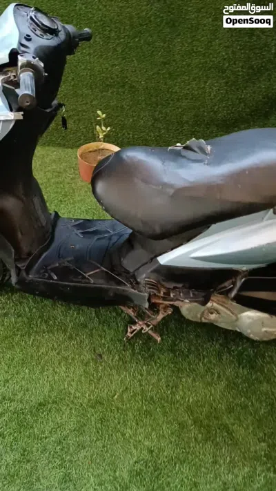 Honda Other 4
