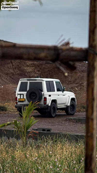 Toyota Land Cruiser Safari 3
