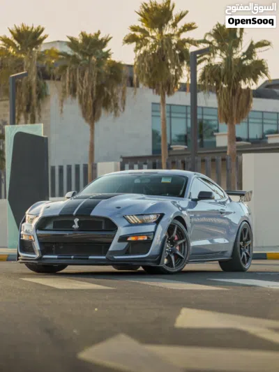 فورد موستانج Shelby GT500 3