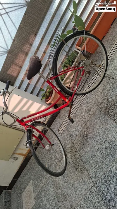 undefined 3