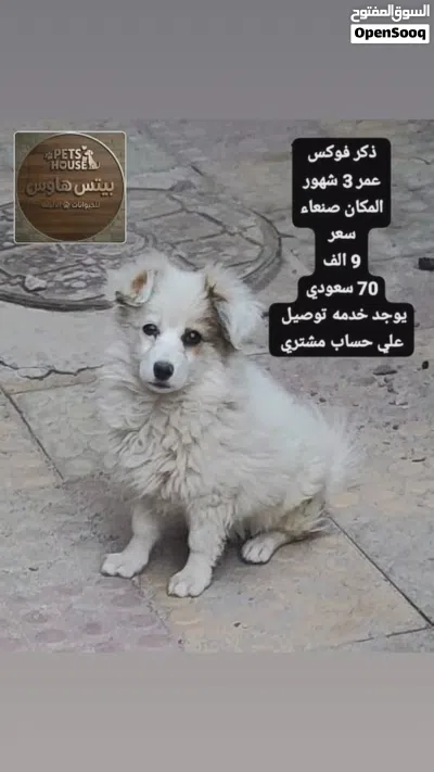 undefined 2