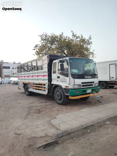 Lorry fsr 2011 model 2