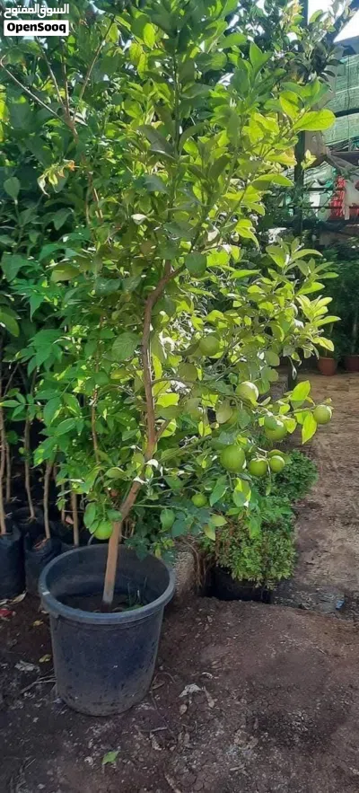 undefined 2