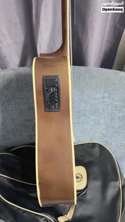 Maestro Acoustic Guitar 3