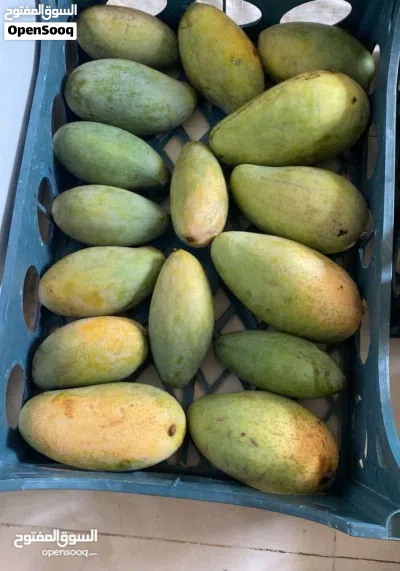 مزرعه للبيع ف سويق 2