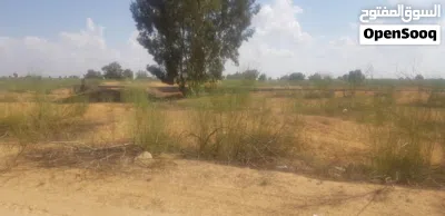 قطعة ارض للبيع 3