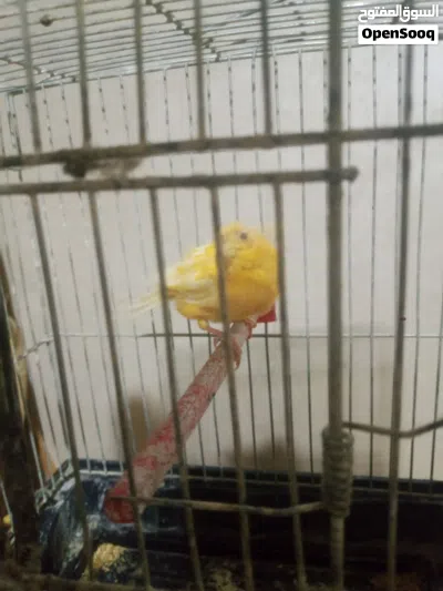 undefined 2