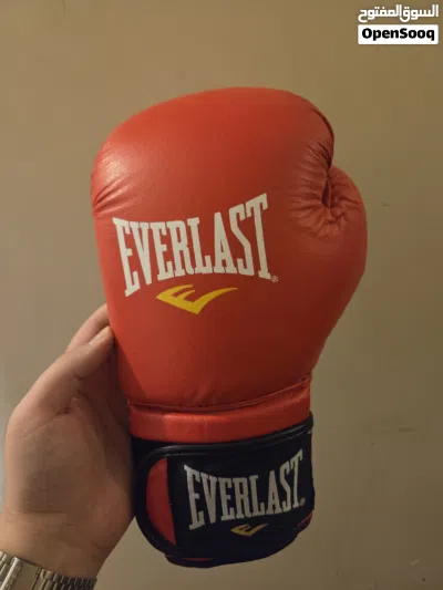 Everlast 12oz Leather Boxing Gloves 2