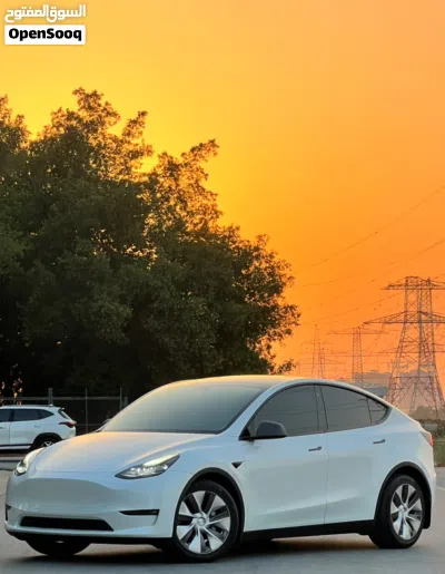 Tesla Model 3 Long Range 4