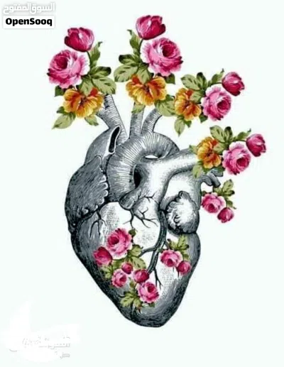 قطعه أرض للبيع توزيع الصحه 250 متر 2