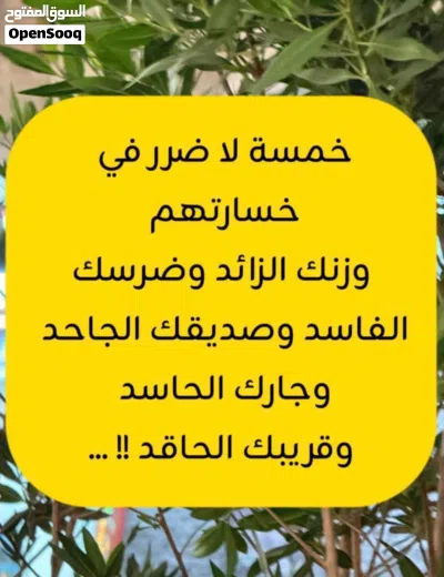بيت شعبي خرااابه قديم البيع عالارض مساحتها نحو 193متر 4