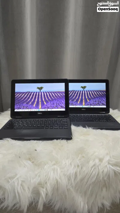 Dell Chromebook 3100 2