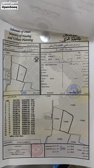 ارضين شبك زراعيه ومن الممكن تحويلها سكنيه في السويق الخضراء 2