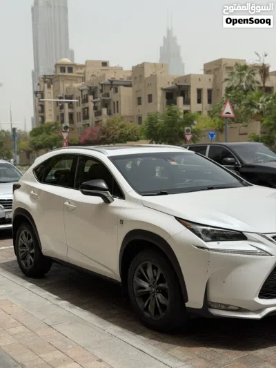 Lexus NX NX 350 F Sport Handling 3