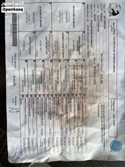 undefined 4