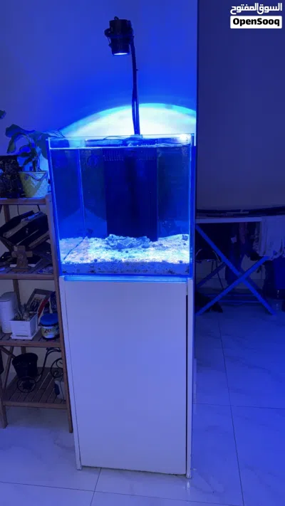 Aquarium maintenance and cleaning services 2