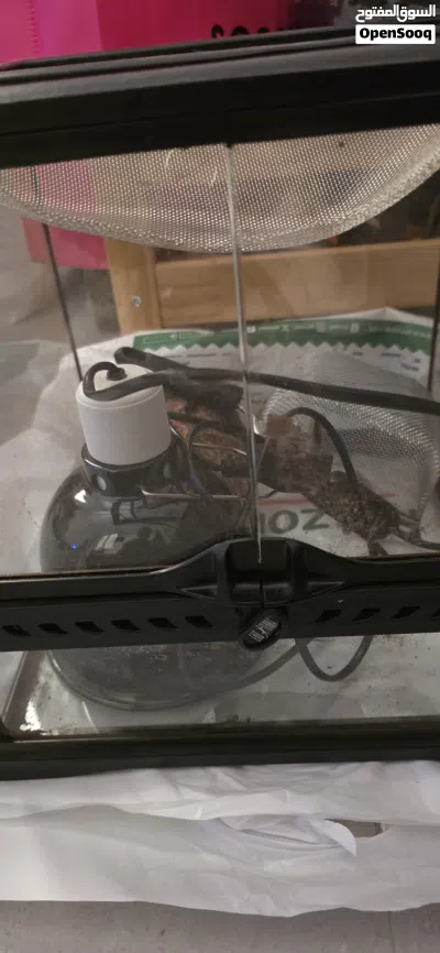 Reptile Supplies أساسيات الزواحف 2