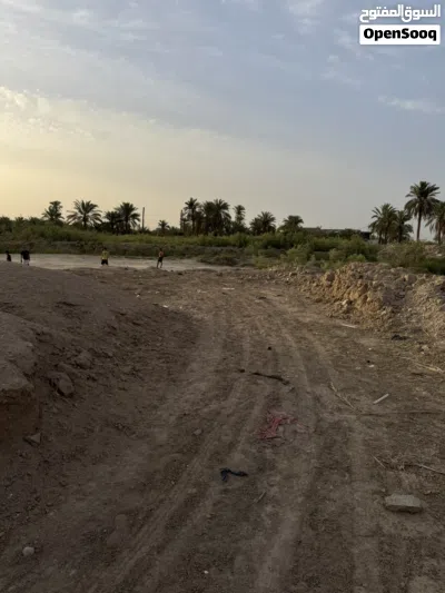 قطعه ارض البيع مساحه 400 متر زراعي خلف مقبرت سيد براهيم قريبه ع شارع بغداد 4