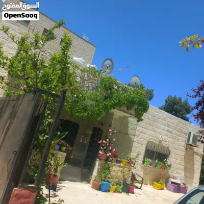 undefined 4