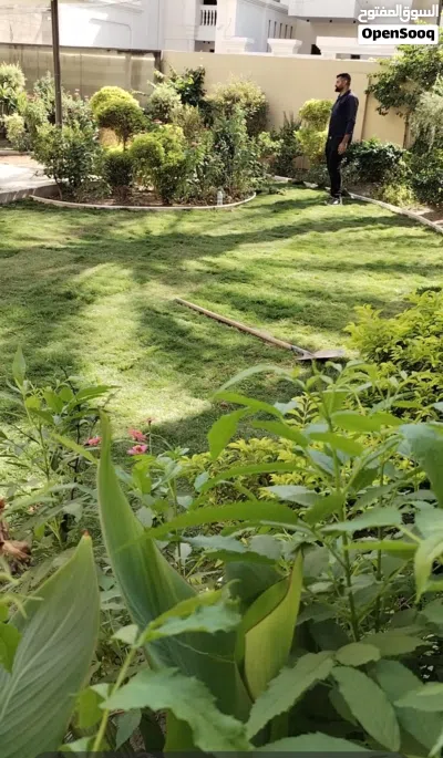 عمل الحدائق و الشلالات المنزلية و زراعة و تقليم النخيل و الاشجار. و مكافحة الارضة و الافات الزراعية 2