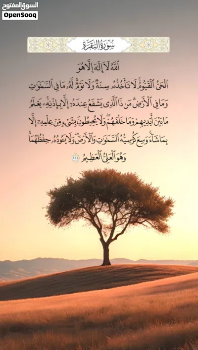 قطعة ارض للبيع 358 متر واجهتين. 2