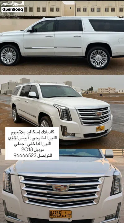 كاديلاك اسكاليد L Platinum 2