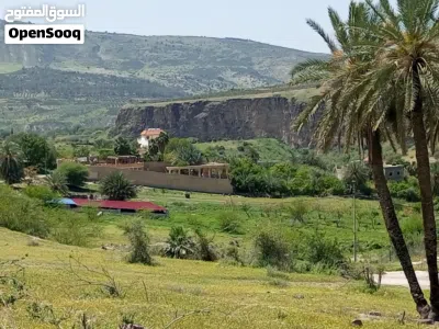 فرصة مميزه لبناء شاليه او استراحه ارض مطله على فلسطين والنهر 4