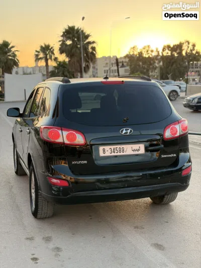 Hyundai Santa Fe Standard 2