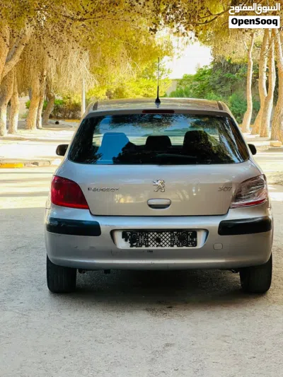 Peugeot 307 SW 2