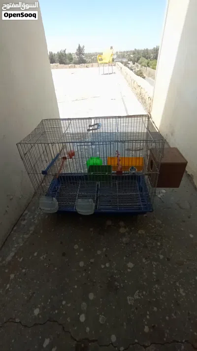 قفص طيور للبيع 3