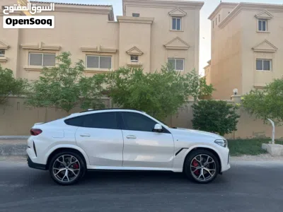 BMW X6 Series X6 xDrive40i 3