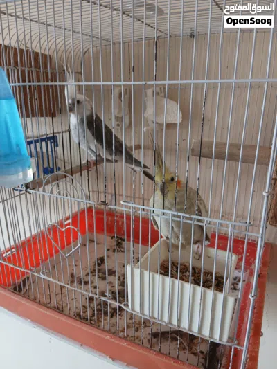 undefined 2