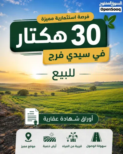 اراضي للبيع الهواري-بوصنيب-سي فرج-الطلحية 4