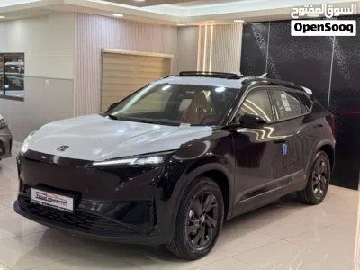 دونج فينج ميج EV 2