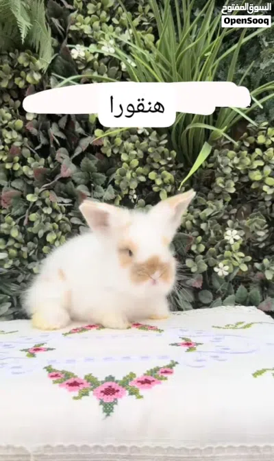 undefined 2