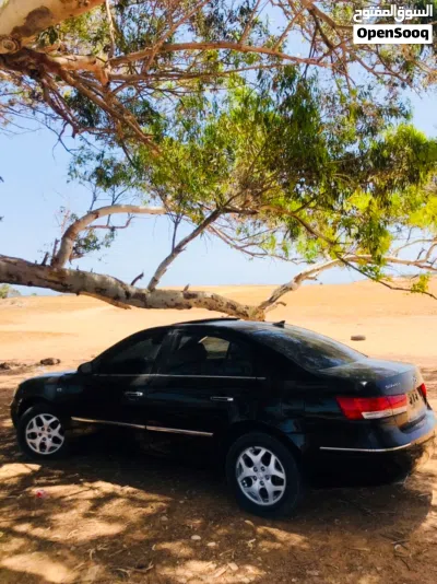 Hyundai Sonata Limited 3