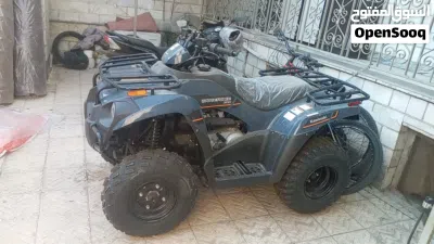 Kawasaki Brute Force 300 3