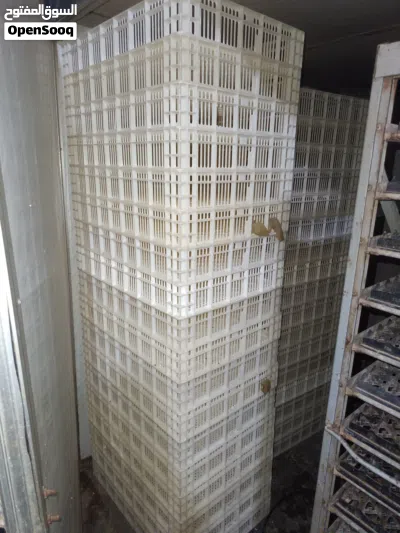 معمل تفريخ التنمية يحمل 19200 دحيه بمحرك اجديد وشنفه اجديده ولوحه اجديده وحوض ميه اجديد 4